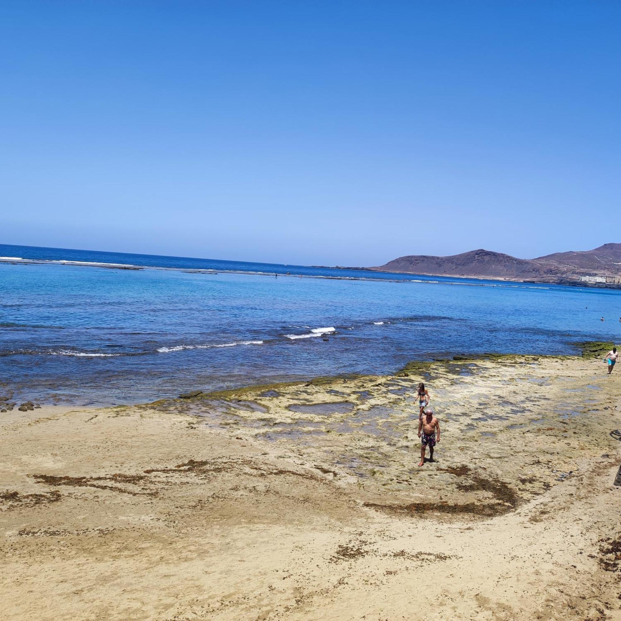 Mirlo Canteras Las Palmas de Gran Canaria Exterior foto